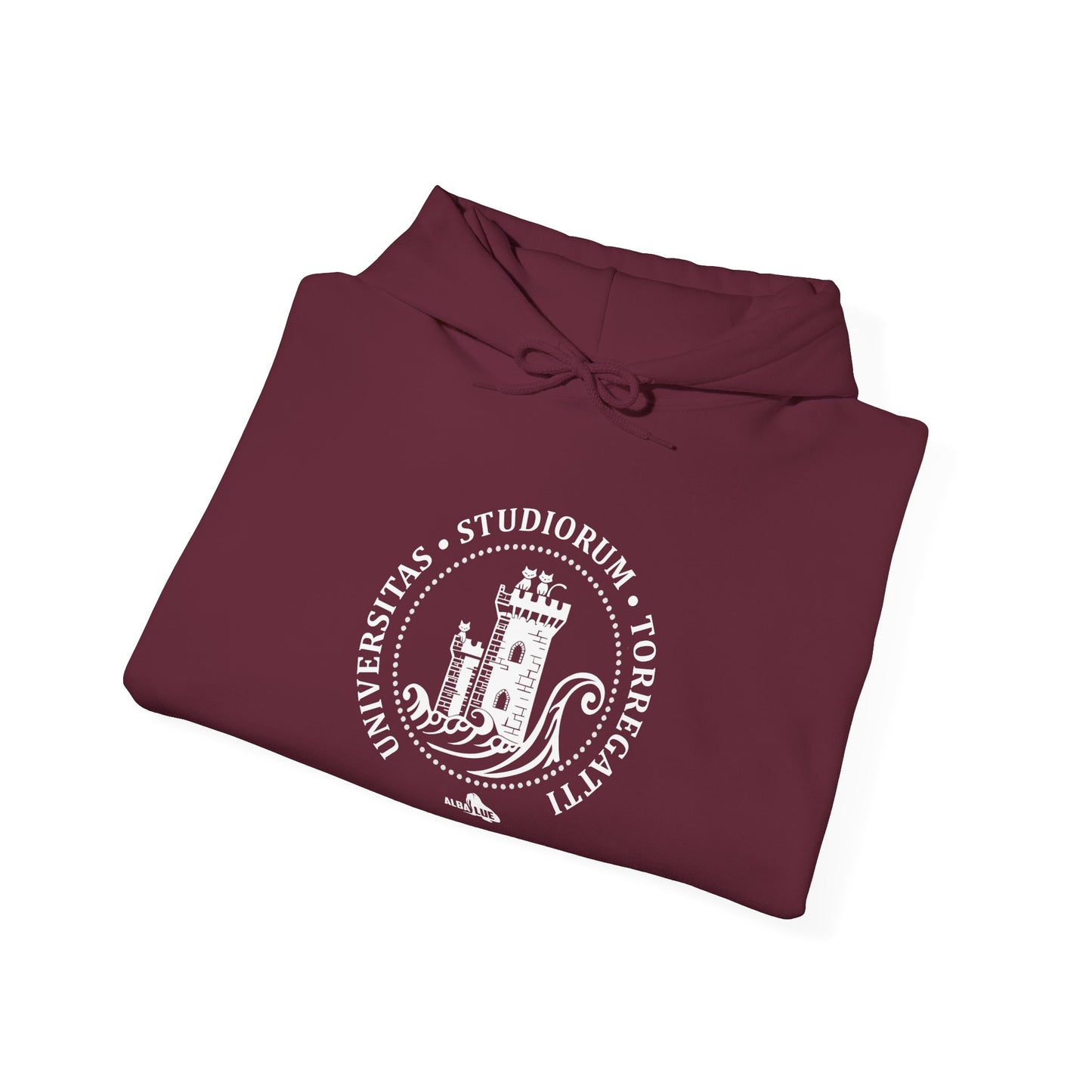 Torregatti University - Hoodie