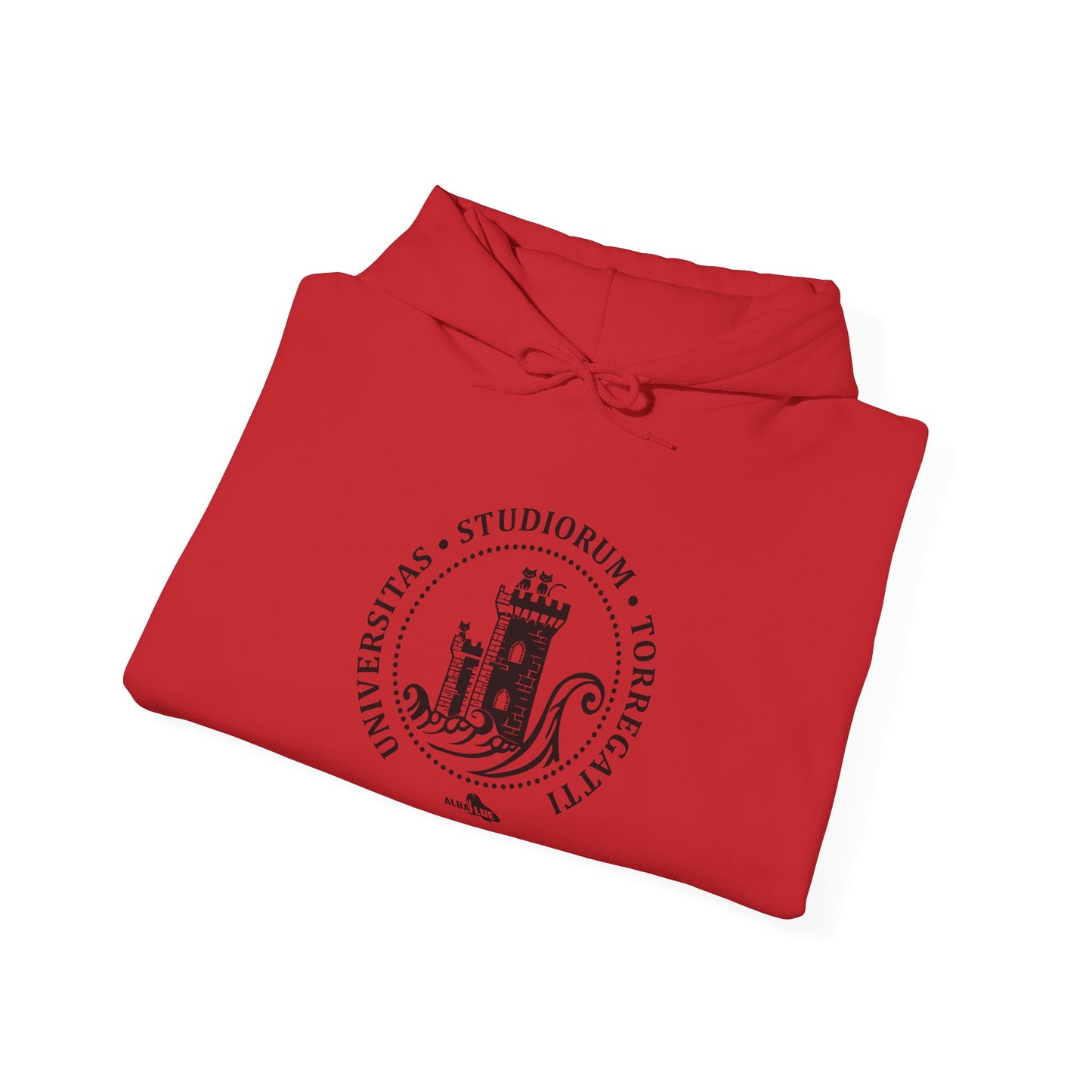 Torregatti University - Hoodie