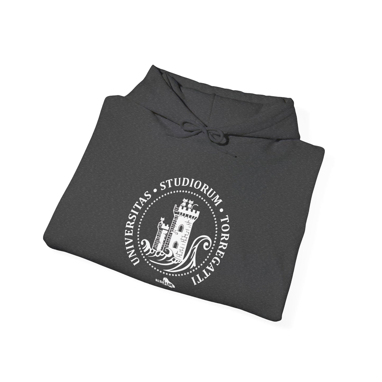 Torregatti University - Hoodie